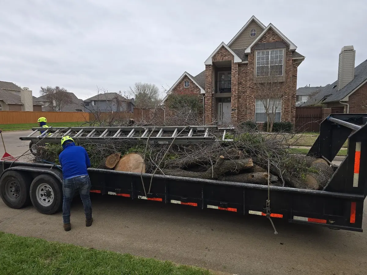 Expert Tree Fertilization with proper safety equipment in Birch Harbor